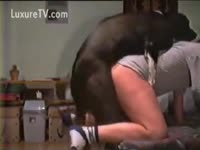 [ Pet XXX ] Sodomized by his dog